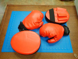 Set Of Protocol Boxing Gloves w/ (2) Boxing Hand Pads and Case  (Office)