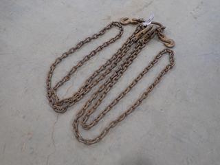 8600lb Cap. 2-Leg Lifting Chain