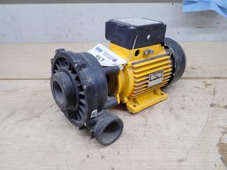 Arctic Spa Model New41 220/240V Single Phase 3kw Insulated Wet End Pump