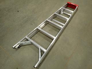 Werner 6 Ft. Aluminum Step Ladder  (0-4-2)
