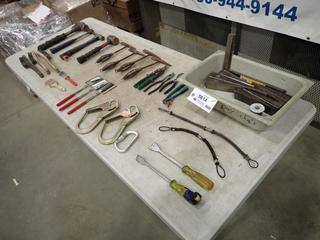 Qty Of Chipping Hammers, Wire Brushes, Hammers And Assorted Hand Tools (F-1)