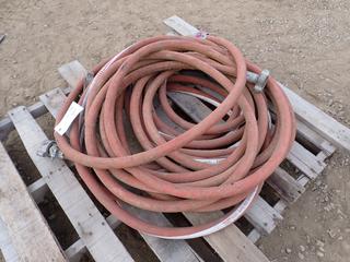 (2) Red Devil G572 250PSI Steam Hoses