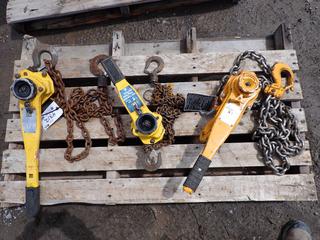 3-Ton Chain Hoist and (2) 1-Ton Chain Hoists.