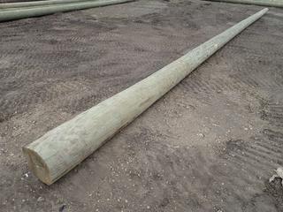 40 Ft. Pressure Treated Power Pole