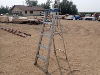 5 Ft. Aluminum Step Ladder