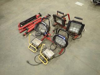 Qty Of Assorted Work Lights c/w (2) Stands  (F-2)