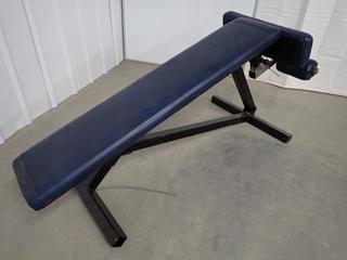 Apex Decline Bench. (WH)