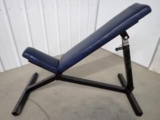 Apex Adjustable Incline Bench. (WH)