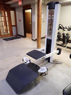 Free Motion Step Machine, A325034 (AUD)