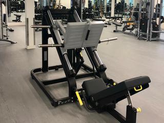 Technogym MG7500 Pure Linear Leg Press, S/N MG75001800142  (AUD)