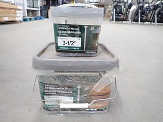 (1) ACQ 30lb Pail of 2in Exterior Galvanized Spiral Nails and (1) 1.5Kg Pail of ACQ 3-1/2in Exterior Galvanized Common Nails *Opened*.