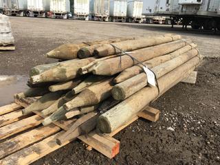 (32) 3in Diameter Green Pressure Treated Fence Posts 6ft L.