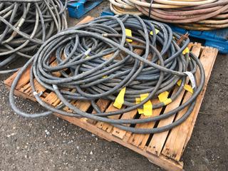 Quantity of 1/2in LP Type 1 Gas Hose c/w Regulators.