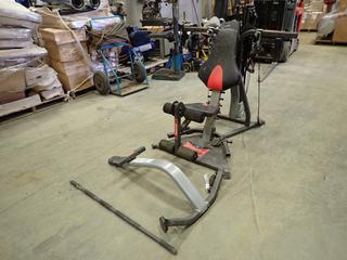 Bowflex Xtreme SE Home Gym. SN 0701070322DAY  (NEC)