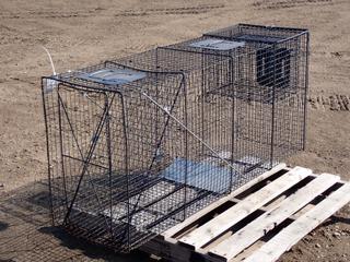 Neocraft Catch and Release Live Animal Trap, 58 In. X 16 In. X 25 In.  (Row 4)
