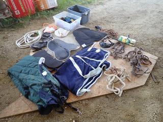 Qty Of Rope, Brushes, Feed Bags, Blankets And Assorted Horse Supplies *Note: This Item Is Located Offsite In Alberta Beach, For More Info Contact Richard @780-222-8309*