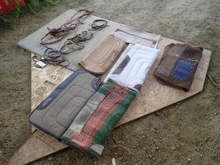Qty Of Horseback Riding Accessories Includes: Bridles And Saddle Pads *Note: This Item Is Located Offsite In Alberta Beach, For More Info Contact Richard @780-222-8309*