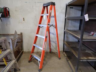 Sturdy 6 Ft Step Ladder.