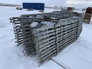 Galvanized Steel Scaffolding Ladders