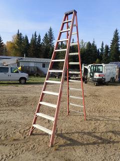 Sturdy AR-665-12C 12ft Step Ladder