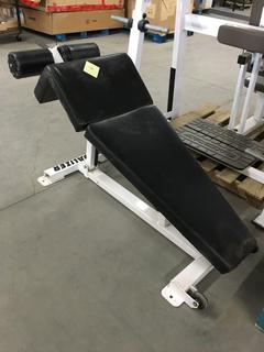 Equalizer Decline Abdominal Bench. (WH)