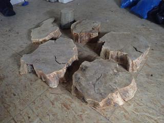 Qty of Assorted Rough Cut Log Round Slabs **Note: Buyer Responsible For Load Out, Located Offsite @ 493 Sioux Road,  Sherwood Park, AB, For More Details Contact 780-944-9144**