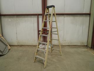 Werner 8 Ft. Step Ladder