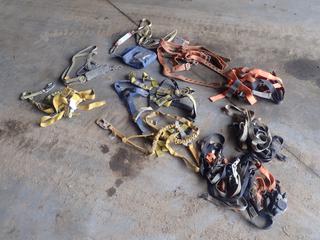 Qty Of Fall Arrest Harnesses And Shock Absorbing Lanyards