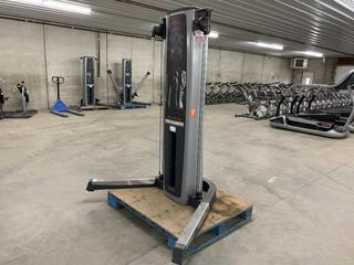 Free Motion Fitness Live Axis High Pulley  System, S/N FF120430080  (HIGH RIVER YARD)