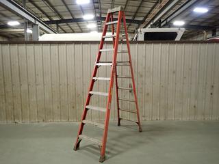 Louisville 10ft Step Ladder