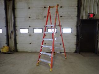 Werner 6ft Podium Step Ladder