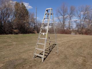 Louisville 10ft Aluminum Step Ladder **Located In Edmonton**
