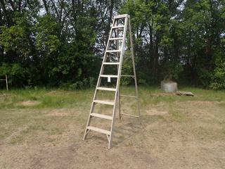 Louisville 10ft Ladder **Located In Edmonton**