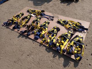 Qty Of (9) DBI Sala Safety Harnesses