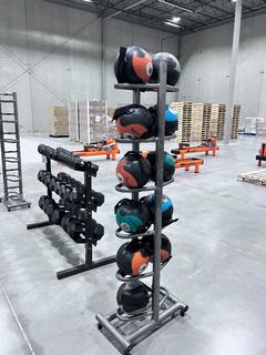 24in X 14in X 73in Medicine Ball Rack c/w (2) 6lb, (2) 10lb, (2) 12lb And (5) 8lb Medicine Balls
