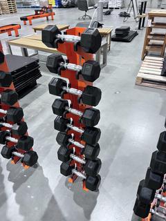 Dumbbell Rack c/w (2) 20lb, (2) 12lb, (2) 10lb and (2) 8lb Dumbbells