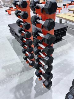(1) Dumbbell Rack c/w (2) 20lb, (2) 12lb, (2) 10lb and (2) 8lb Dumbbells