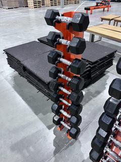 Dumbbell Rack c/w (2) 20lb, (2) 12lb, (2) 10lb and (2) 8lb Dumbbells