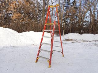 Werner 6ft Platform Ladder ** LOCATED IN EDMONTON**