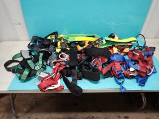 Qty Of Unused MSA And Protecta Safety Harnesses c/w Unused Milwaukee Belts And Tool Lanyards ** LOCATED IN EDMONTON**