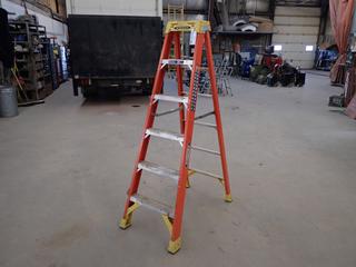 Werner 6ft Step Ladder