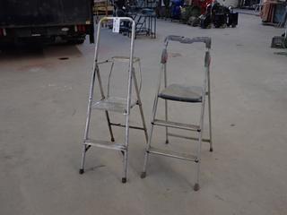 (1) 2-Step And (1) 3-Step Aluminum Step Ladders
