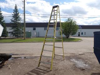 Featherlite 12ft Step Ladder