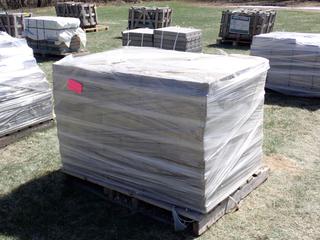 Qty Of 18in X 12in X 2.5in And 12in X 6in X 2.5in Concrete Walkway Stones **LOCATED IN EDMONTON**
