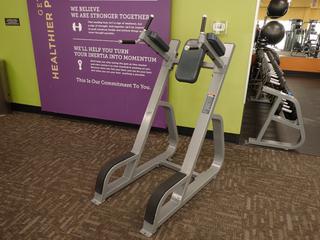 Precor Vertical Knee Raise And Dip Station. SN BBEMI24150002