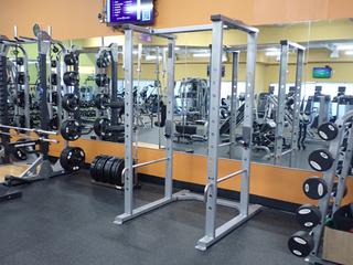 Precor Full Squat Rack. SN BCGCJ12150002