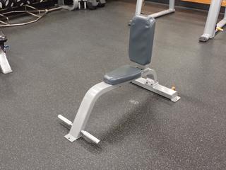 Precor Multipurpose Bench. SN BYWKI24150001