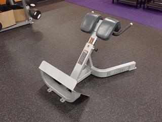 Precor 45-Degree Back Extension Bench. SN BJMEJ01150004
