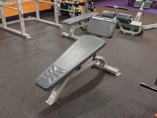 Precor Adjustable Decline Bench. SN BRLKJ16140024