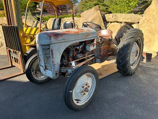 Massey Ferguson 2wd Gasoline Tractor SN EA128787